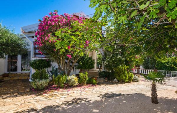 Apartment "Marija" - Otok Вир Екстериор снимка