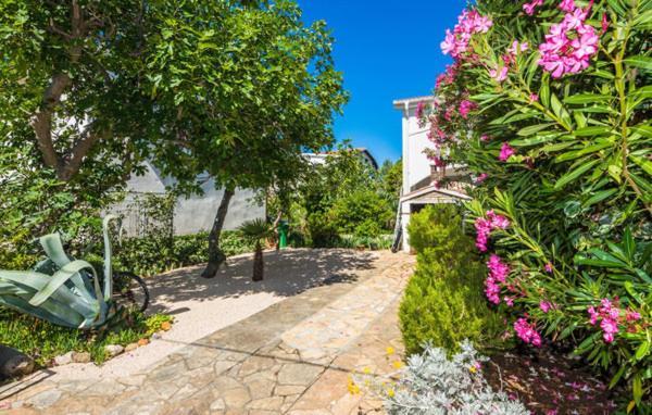 Apartment "Marija" - Otok Вир Екстериор снимка